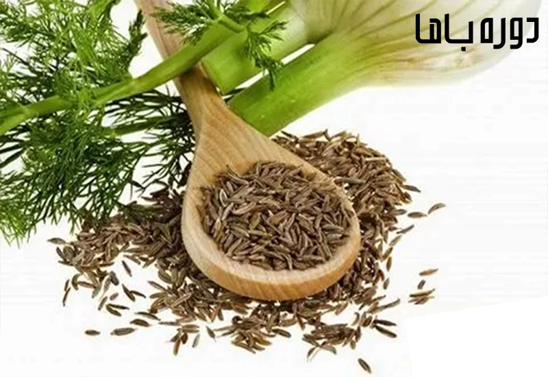 تاثیر رازیانه در لاغری